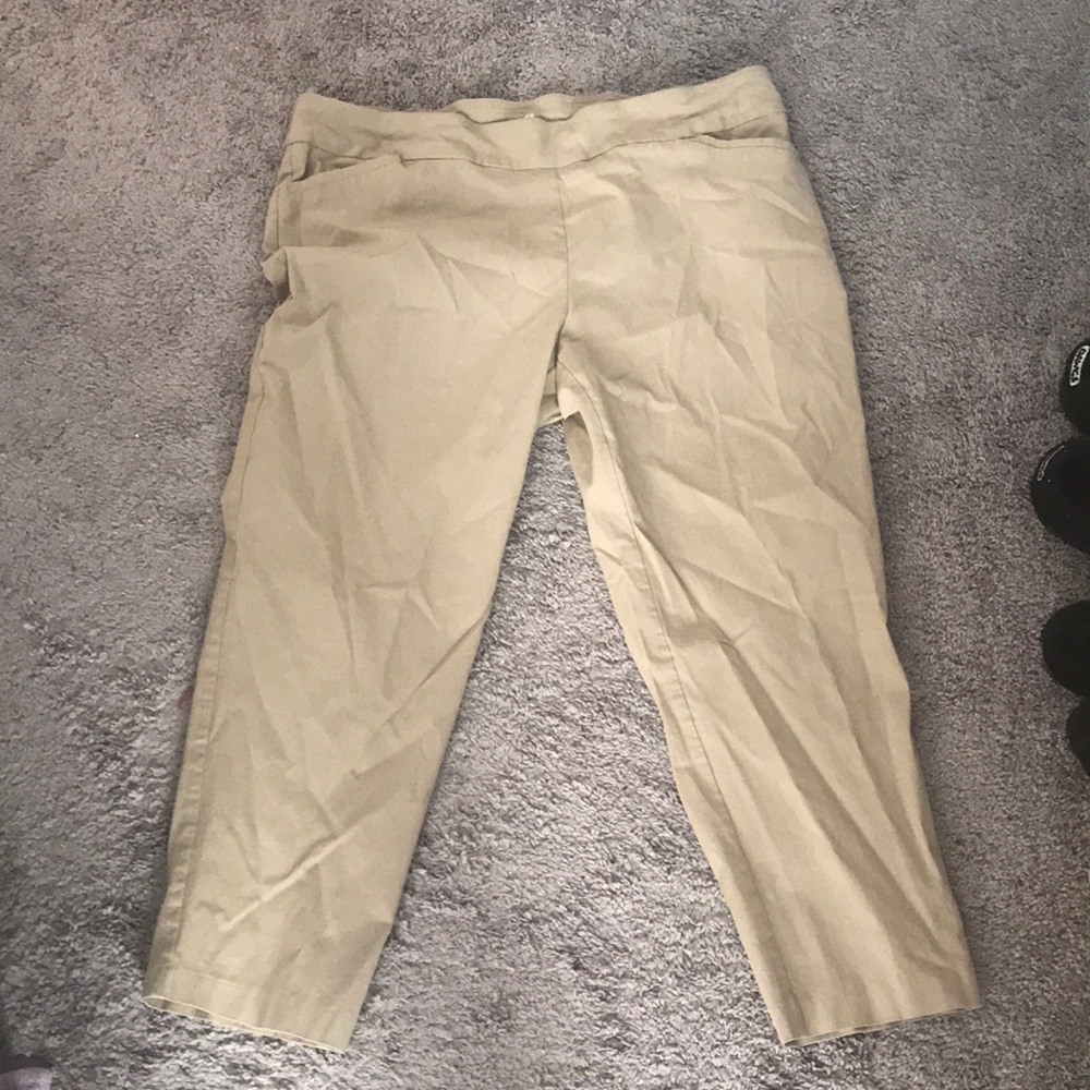 Terra & Sky Tan pants